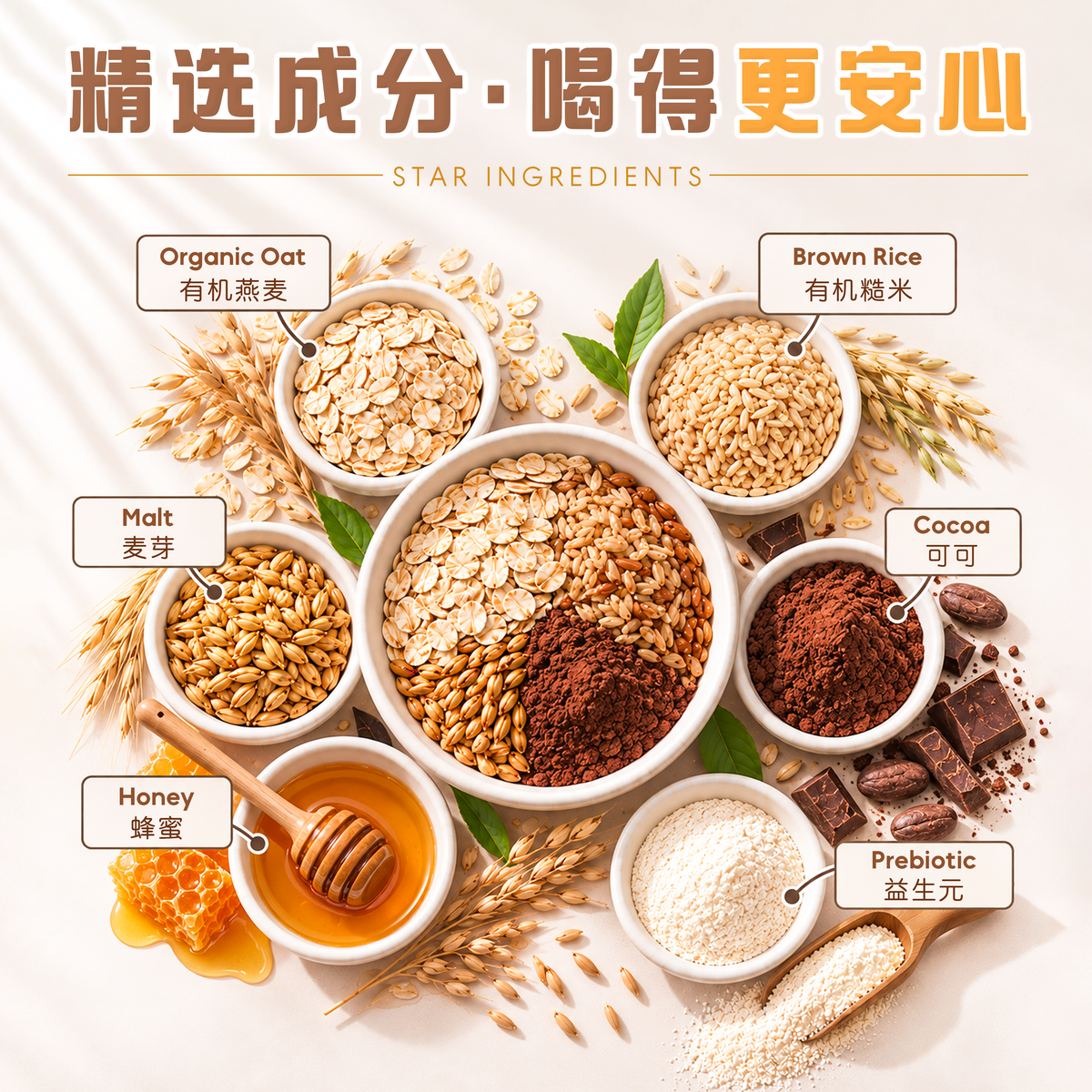 巧克力燕麦米奶 CHOCOLATE OAT RICE MILK