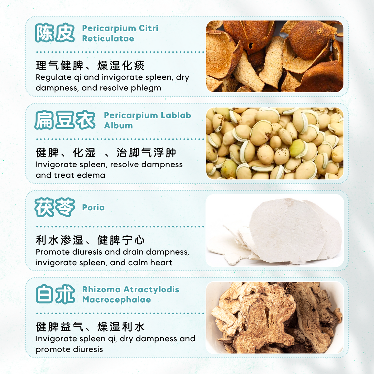 身体浮肿茶疗 EDEMA (10'S)