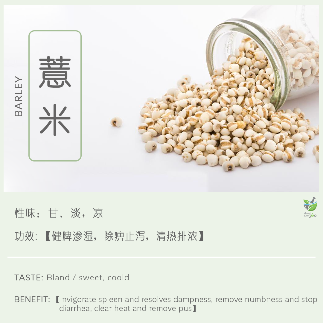 薏米 Barley