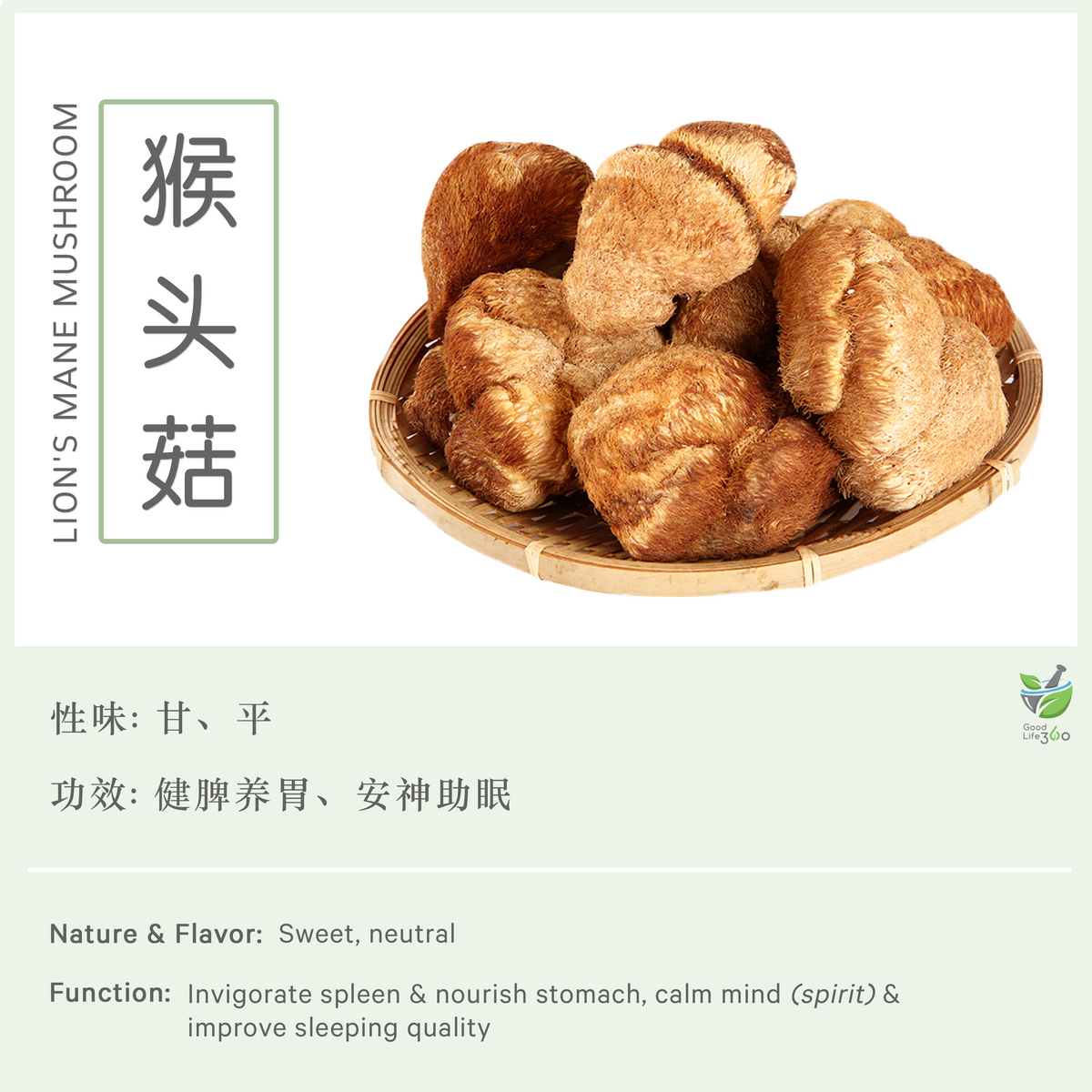 猴头菇 Lion's Mane Mushroom