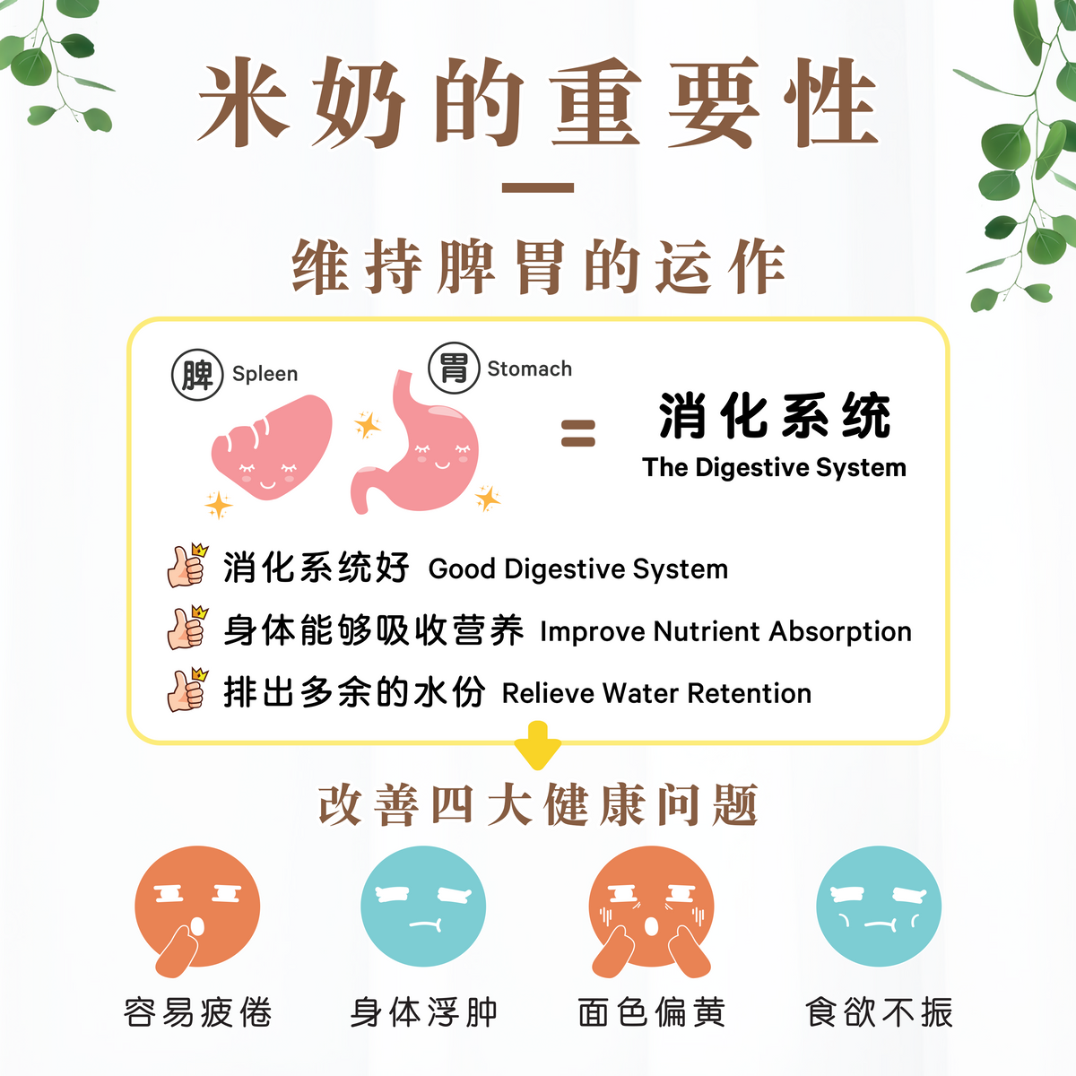 巧克力燕麦米奶 CHOCOLATE OAT RICE MILK (POUCH)