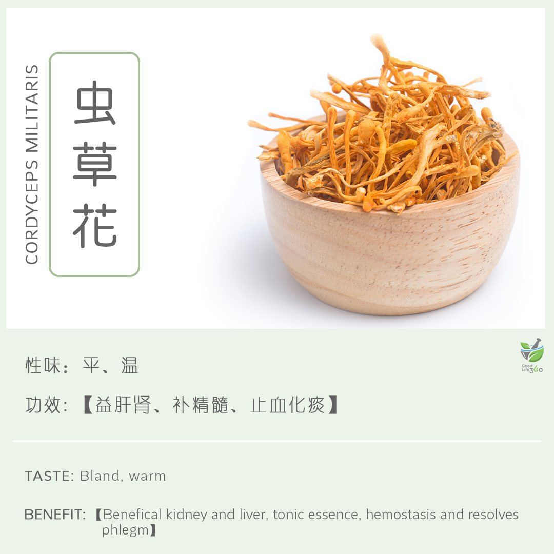 虫草花 Cordyceps Militaris