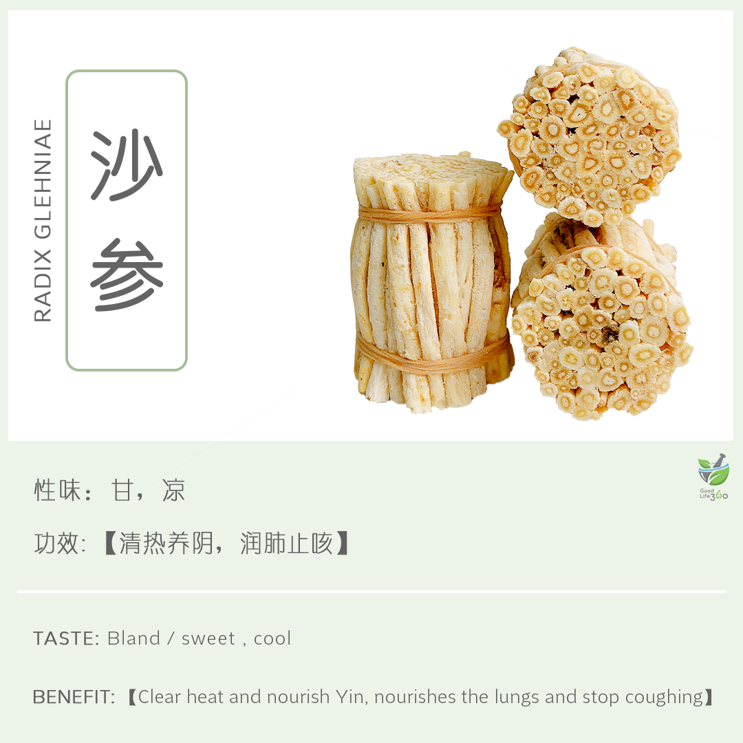 沙参 Radix Glehniae