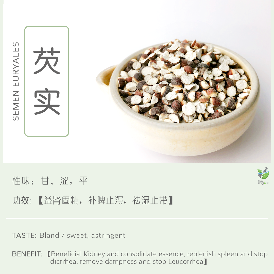 芡实 Semen Euryales