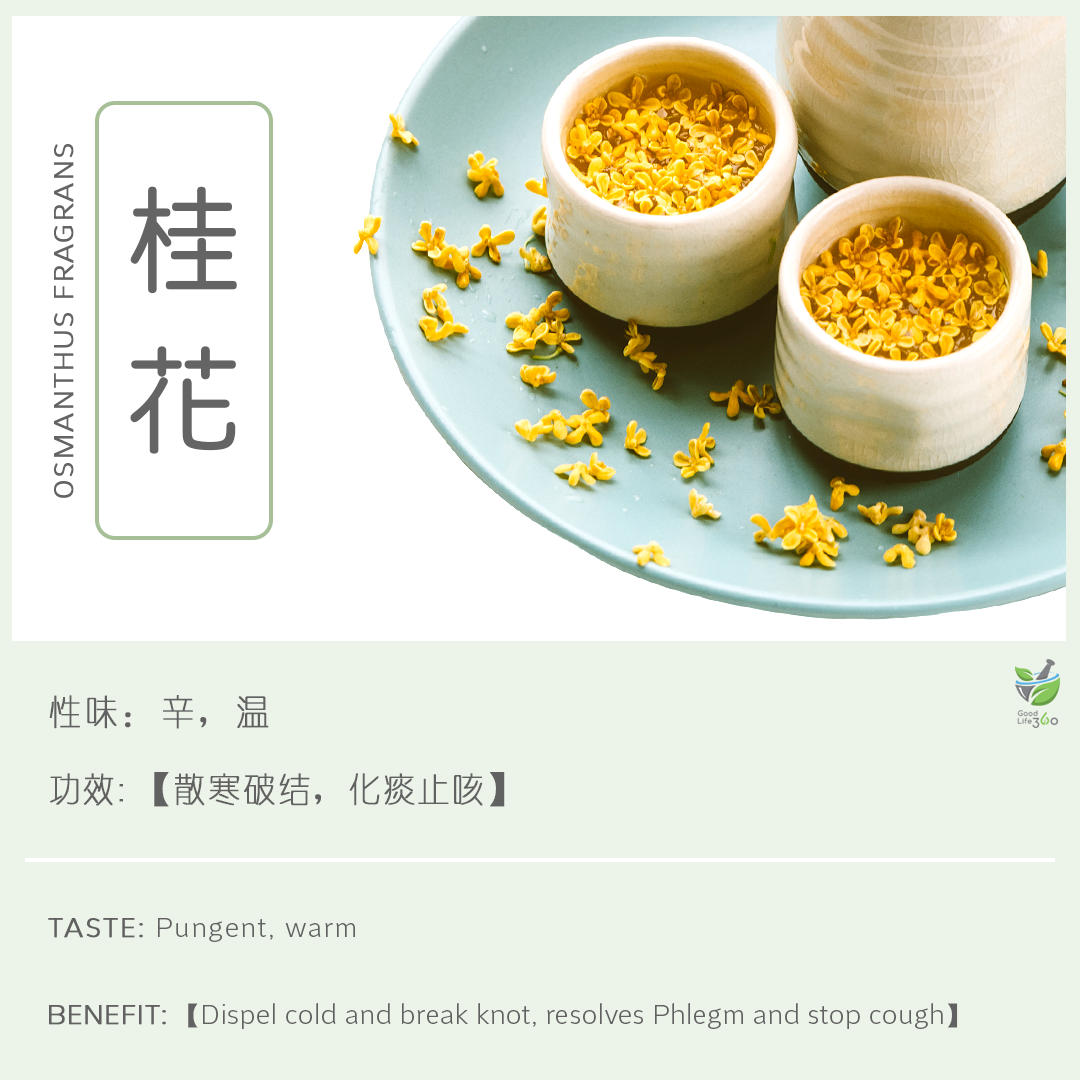 桂花 Osmanthus Fragrans