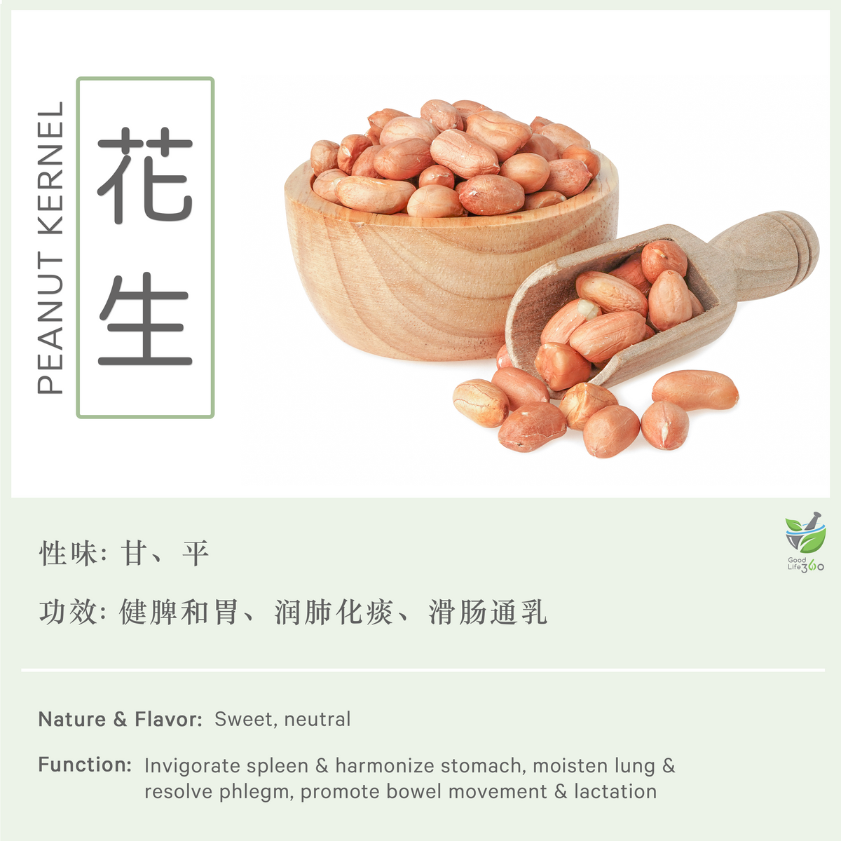山东花生 Peanut Kernel