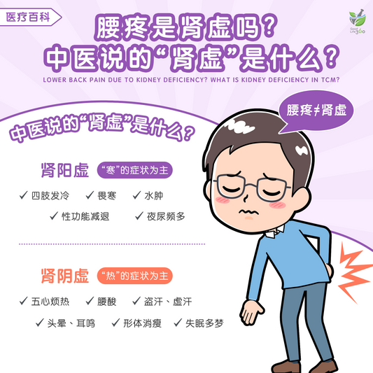 腰疼是肾虚吗? 中医说的“肾虚”是什么? • Lower Back Pain Due To Kidney Deficiency? What Is Kidney Deficiency In TCM?