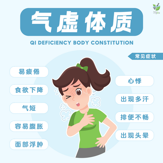 气虚体质 Qi Deficiency Body Type