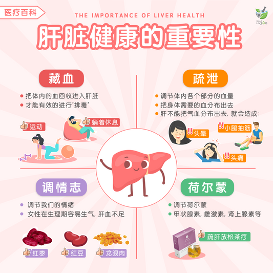 肝脏健康的重要性 • The Importance Of Liver Health