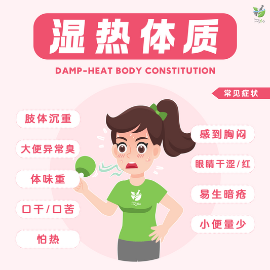 湿热体质 Damp-Heat Body Type
