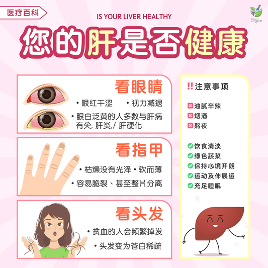 您的肝是否健康 • Is Your Liver Healthy