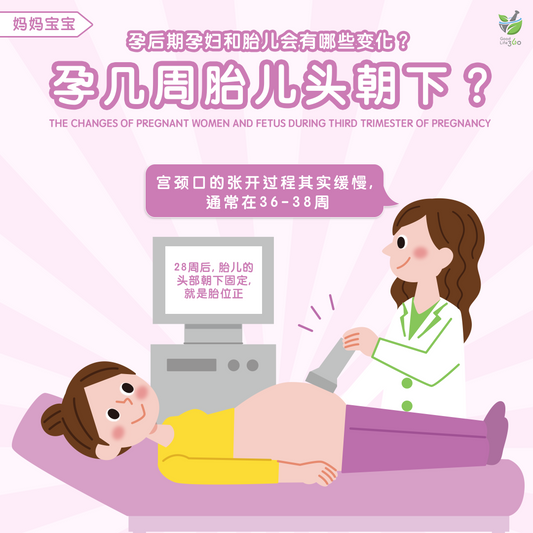 孕后期孕妇和胎儿会有哪些变化？ 孕几周胎儿头朝下？宫颈口孕几周开? • The Changes Of Pregnant Women And Fetus During Third Trimester Of Pregnancy