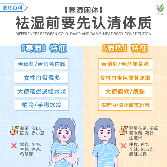 春湿困体 - 祛湿前要先认清体质 • Differences Between Cold-Damp And Damp-Heat Body Constitution