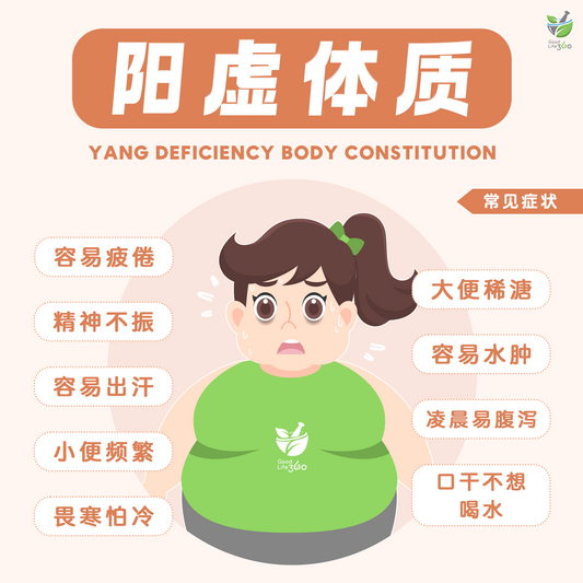 阳虚体质 Yang Deficiency Body Type