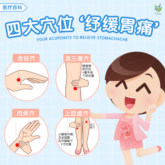 四大穴位纾缓胃痛 • Four Acupoints To Relieve Stomachache
