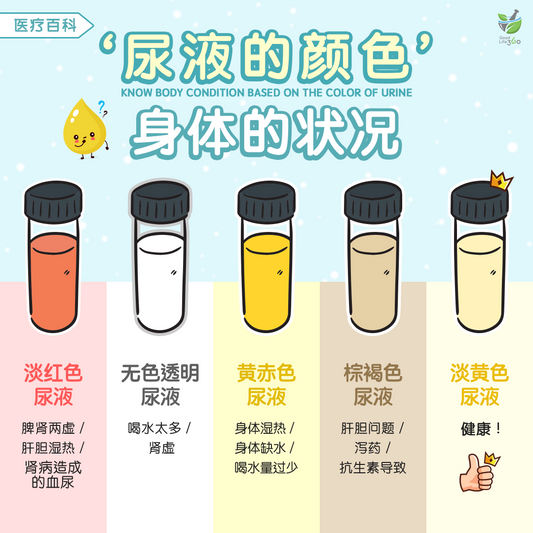 尿液的颜色, 身体的状况 • Know Body Condition Based On The Color Of Urine