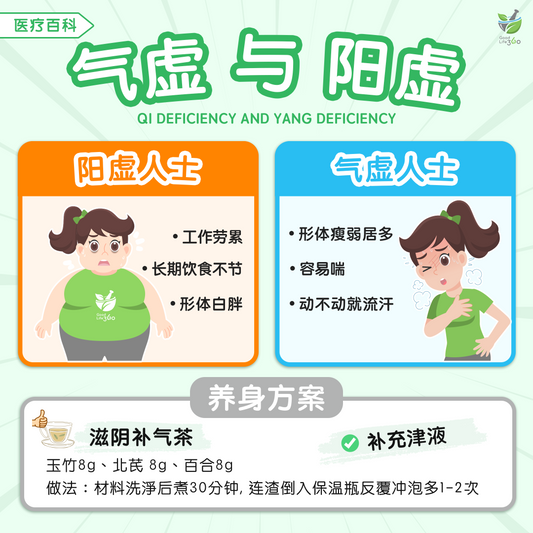 气虚与阳虚 • Qi Deficiency And Yang Deficiency