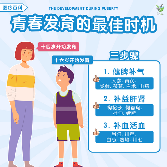 青春发育的最佳时机 • The Development During Puberty