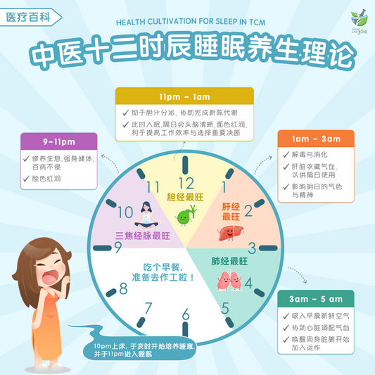 中医十二时辰睡眠养生理论 • Health Cultivation For Sleep In TCM