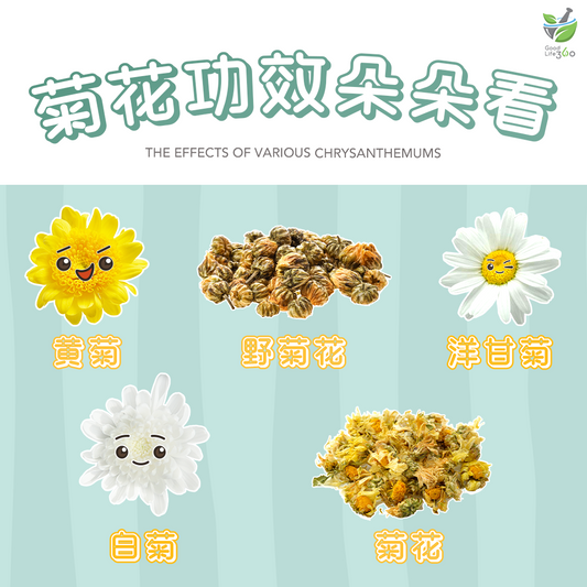 菊花功效朵朵看