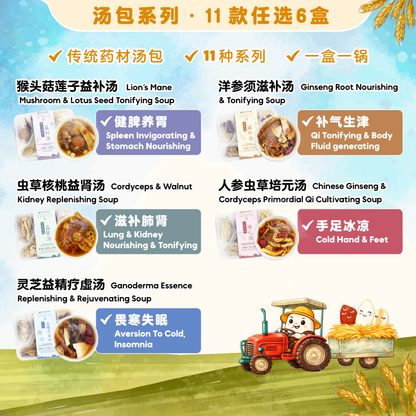 温润如初 ｜ 5 送 1