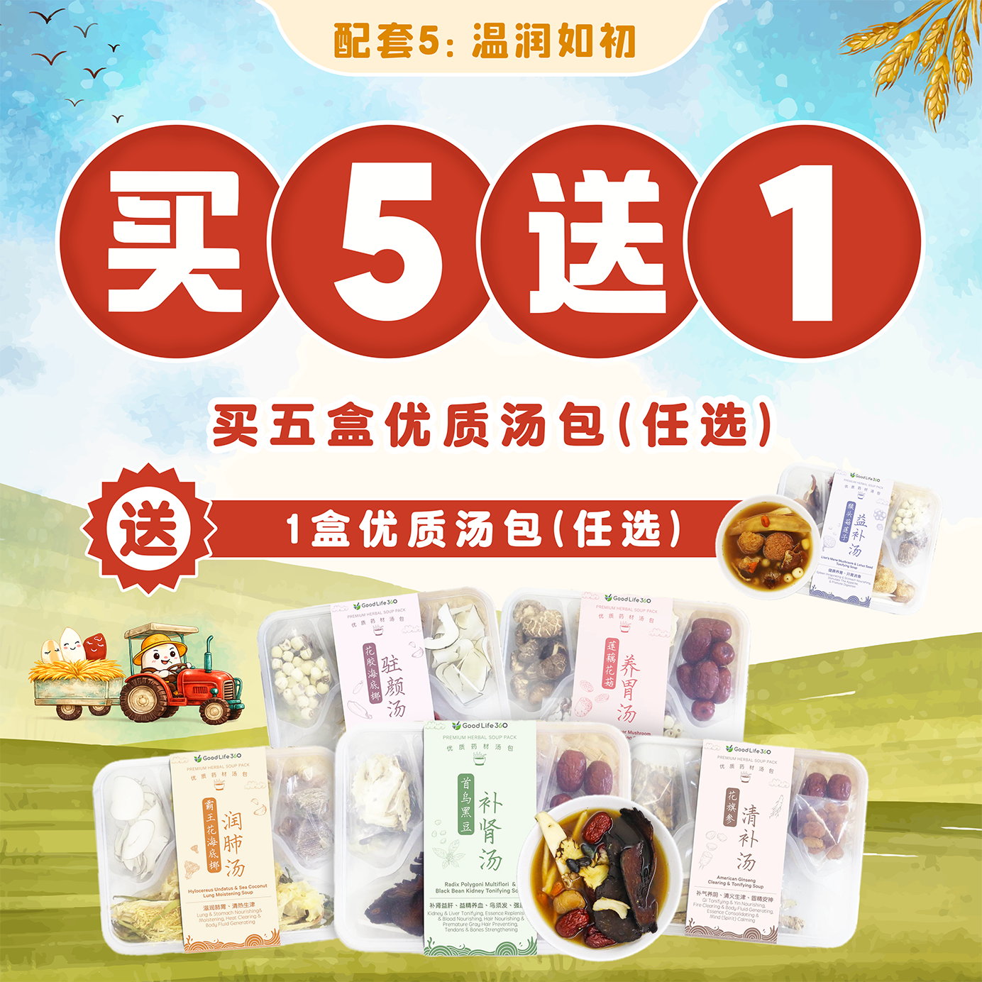 温润如初 ｜ 5 送 1