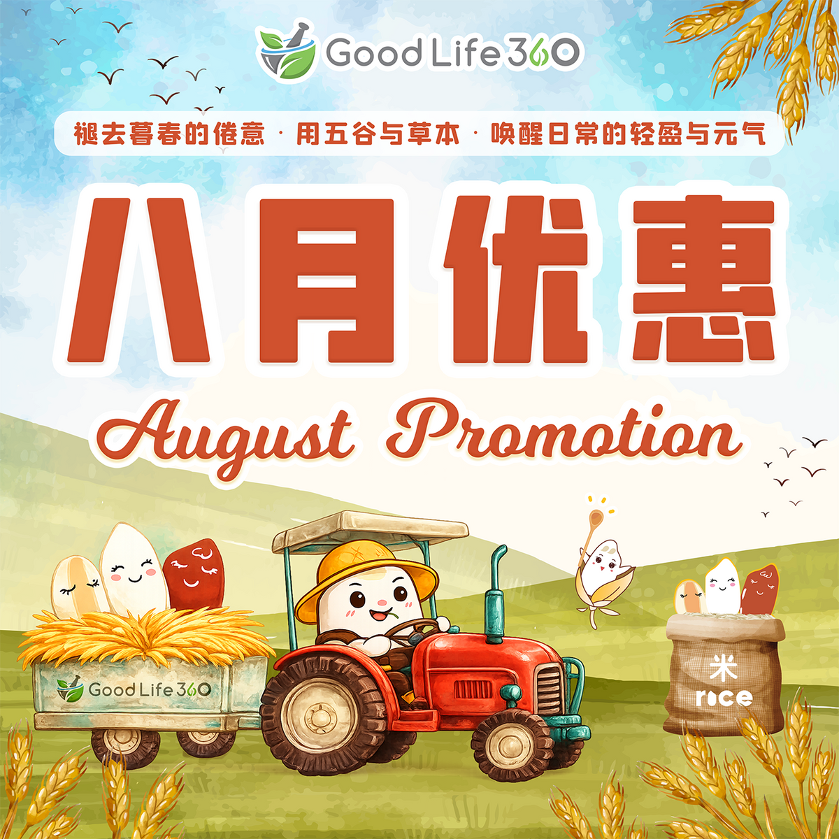静心品茗 ｜ 5 送 1