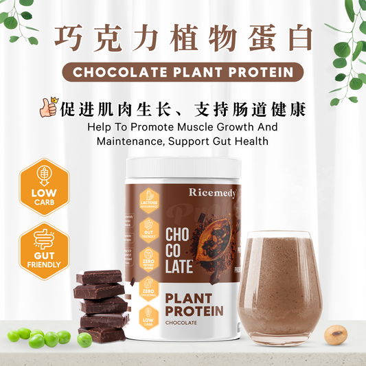 巧克力植物蛋白 CHOCOLATE PLANT PROTEIN (500 GRAMS)