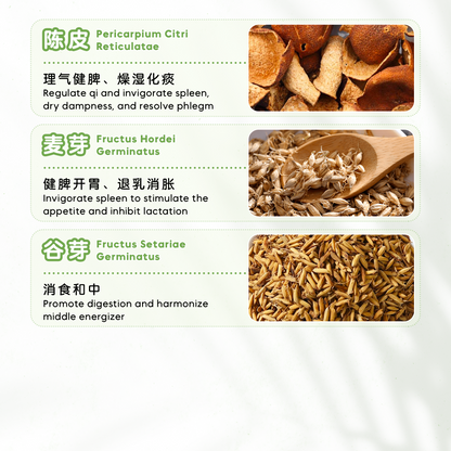 消化不良茶疗 STUFFED (10'S)