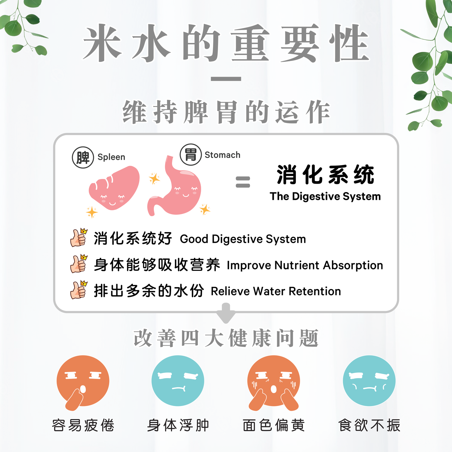 黑芝麻米水 BLACK SESAME RICE WATER (POUCH)