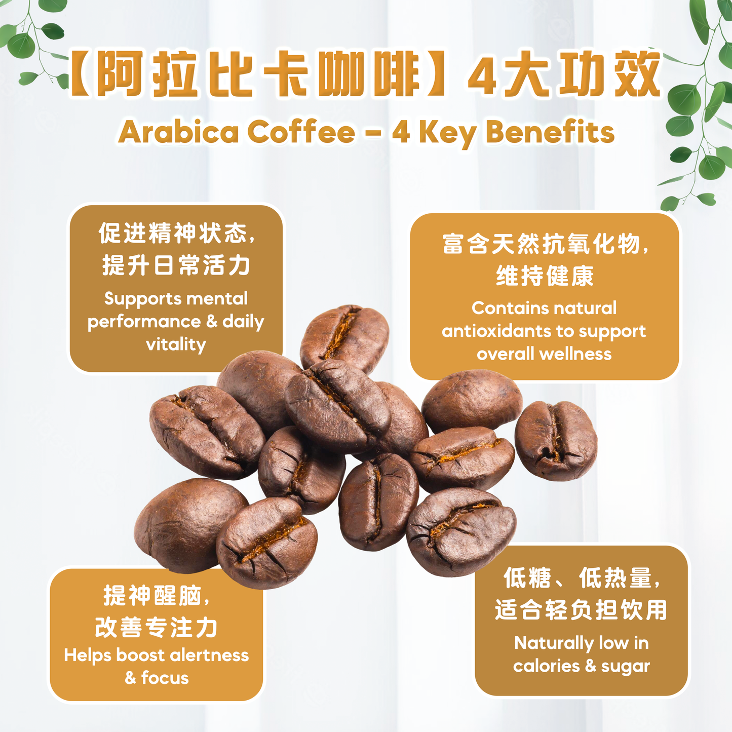 阿拉比卡米水 ARABICA RICE WATER（BOX）