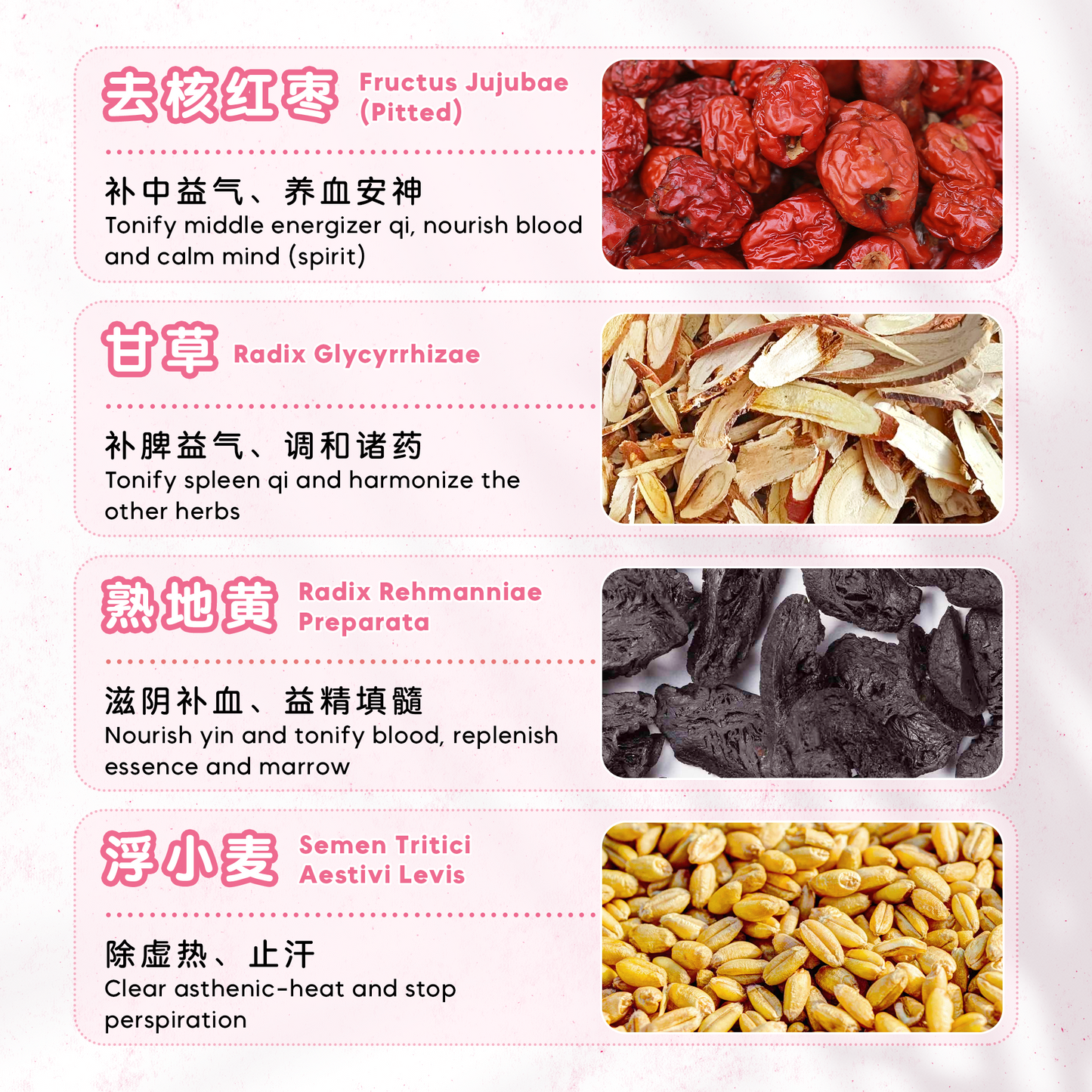 补气养血茶疗 BOOST QI & BLOOD (10'S)