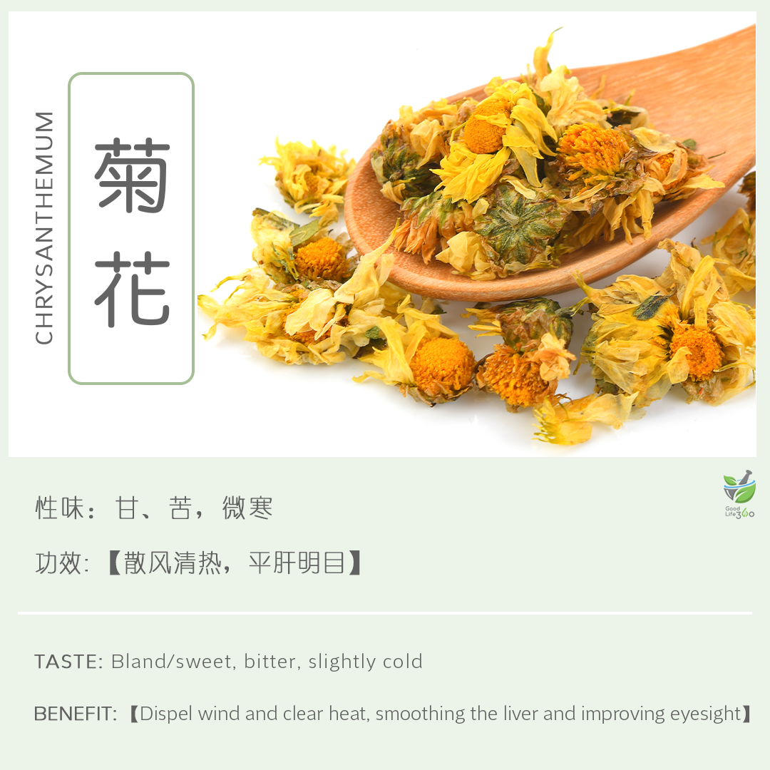 菊花 Chrysanthemum