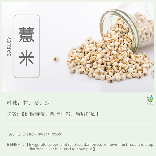 薏米 Barley