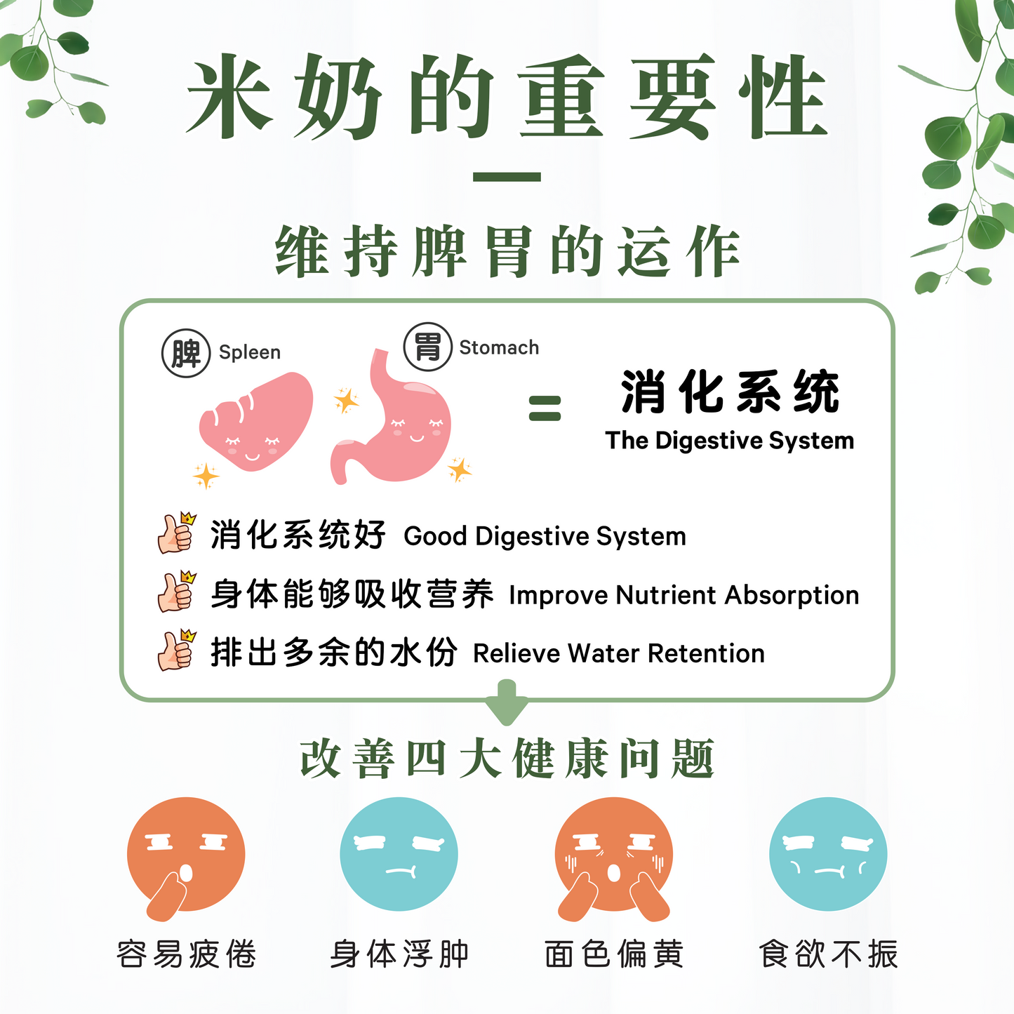 鳄梨米奶 AVOCADO RICE MILK (POUCH)