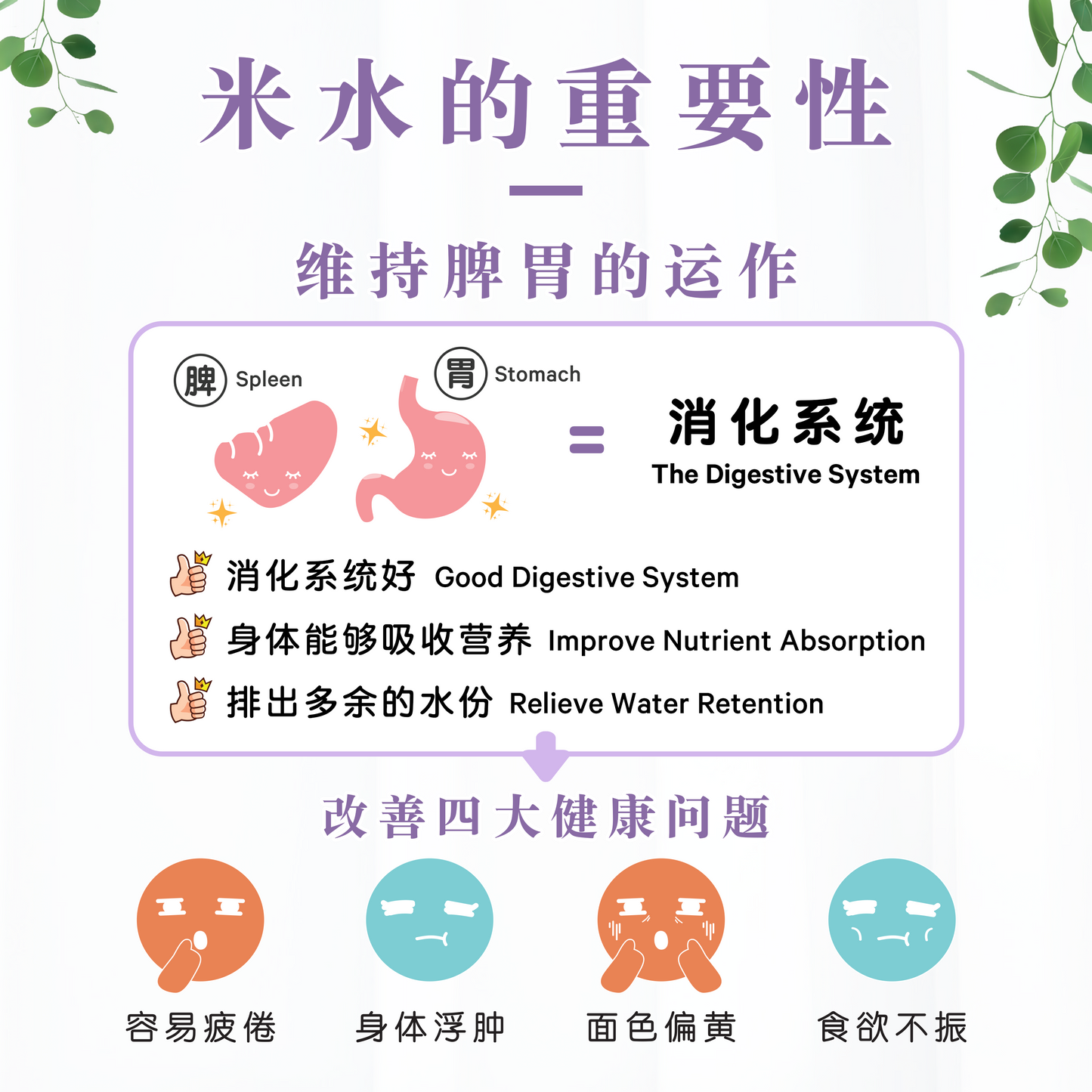 莓果米水 MIXBERRIES RICE WATER (POUCH)