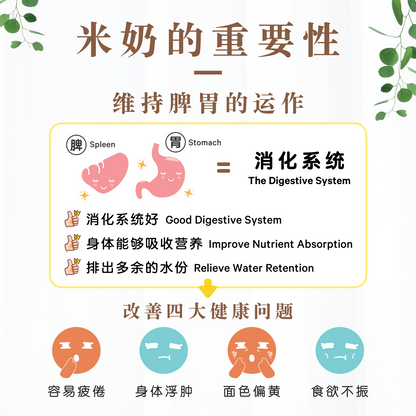 巧克力燕麦米奶 CHOCOLATE OAT RICE MILK (BOX)