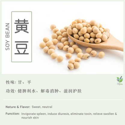 黄豆 Soy Bean