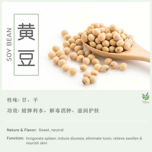 黄豆 Soy Bean