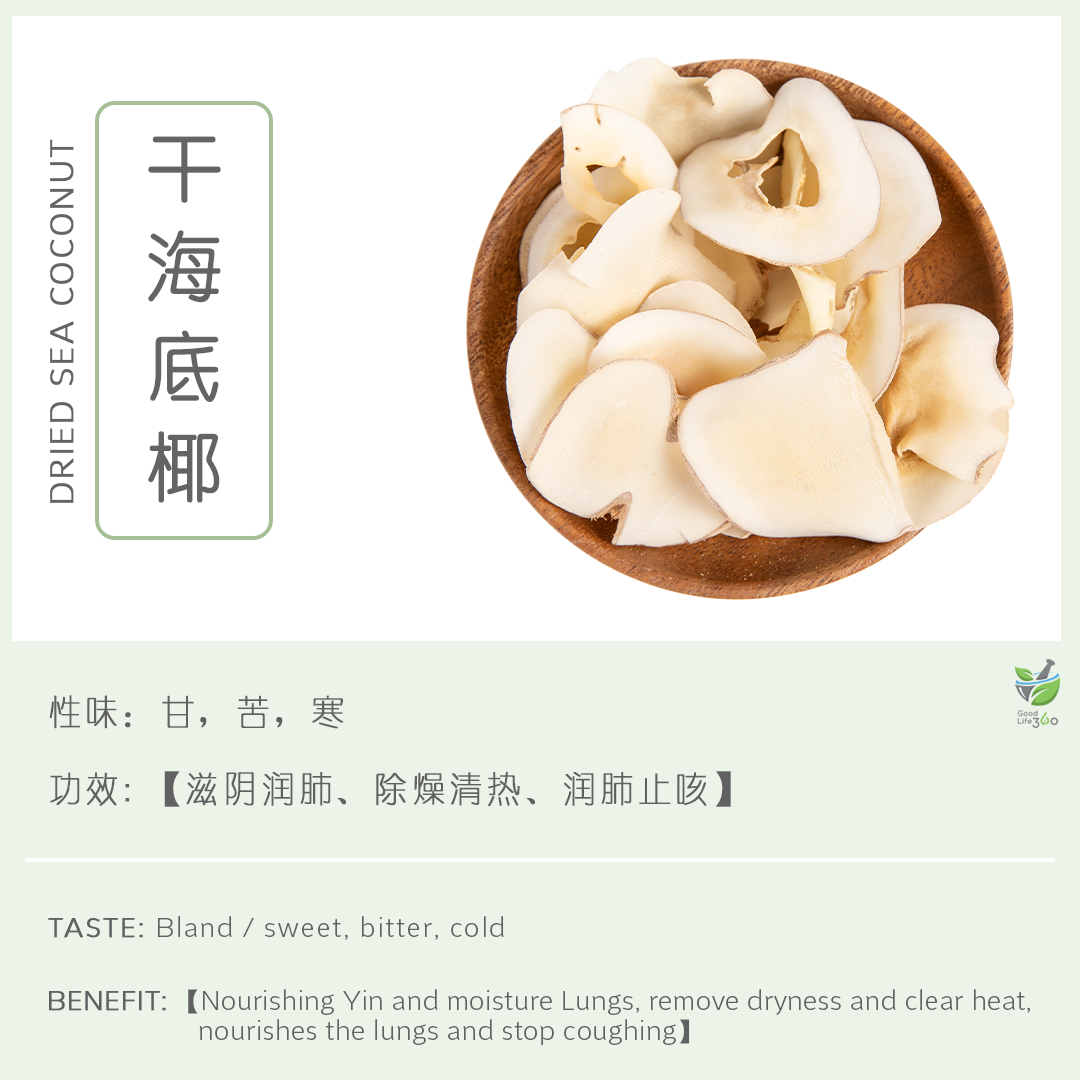 干海底椰 Dried Sea Coconut