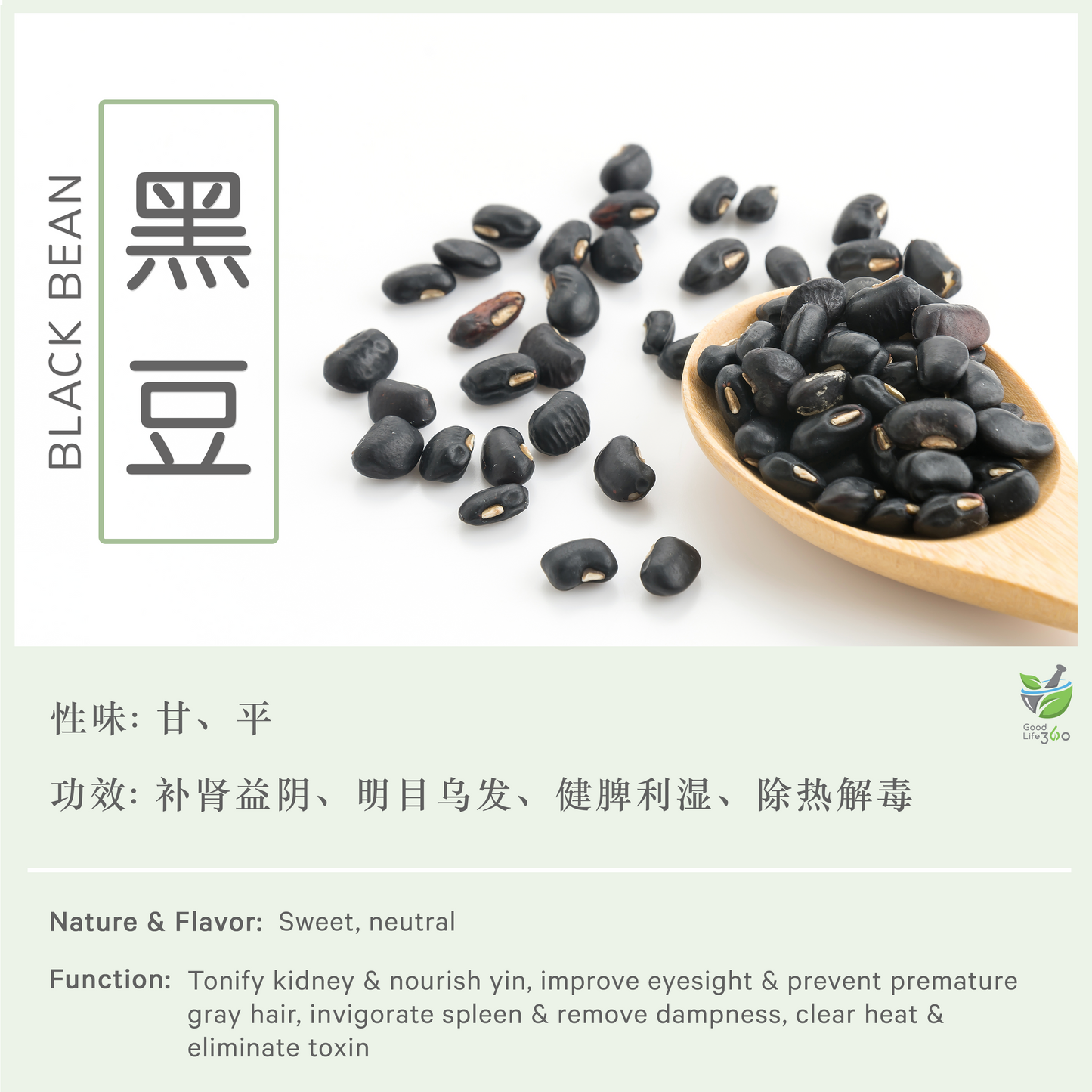 黑豆 Black Bean