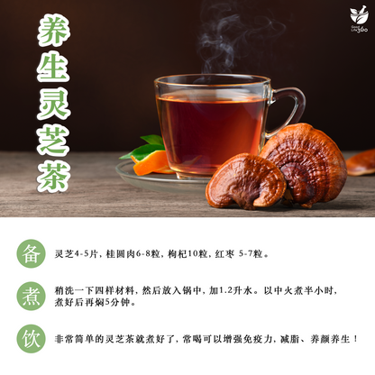 灵芝 Ganoderma