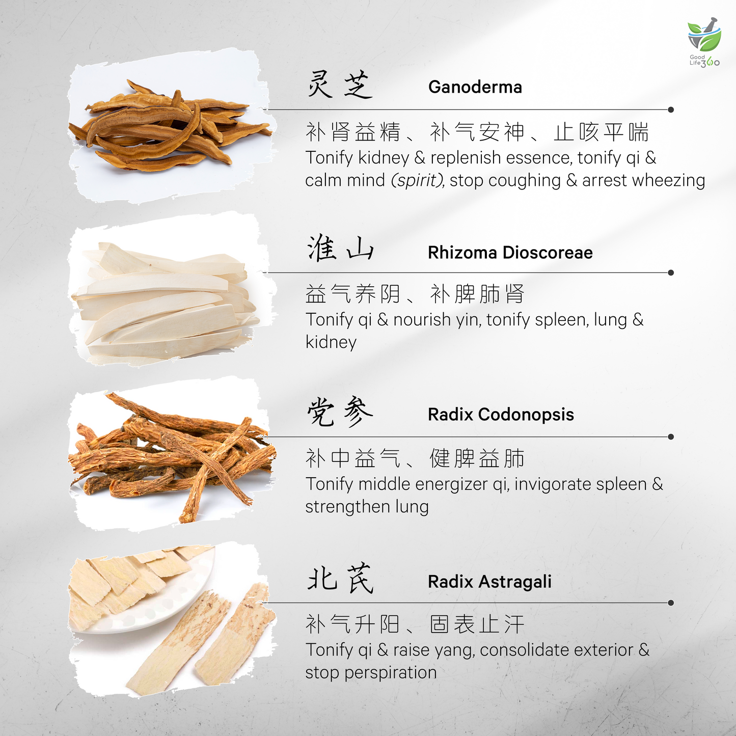 灵芝益精疗虚汤 GANODERMA ESSENCE REPLENISHING & REJUVENATING SOUP