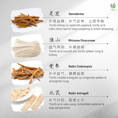 灵芝益精疗虚汤 GANODERMA ESSENCE REPLENISHING & REJUVENATING SOUP