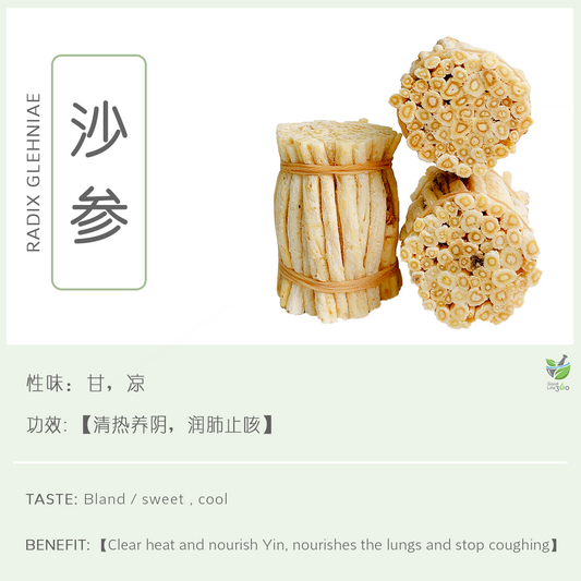 沙参 Radix Glehniae