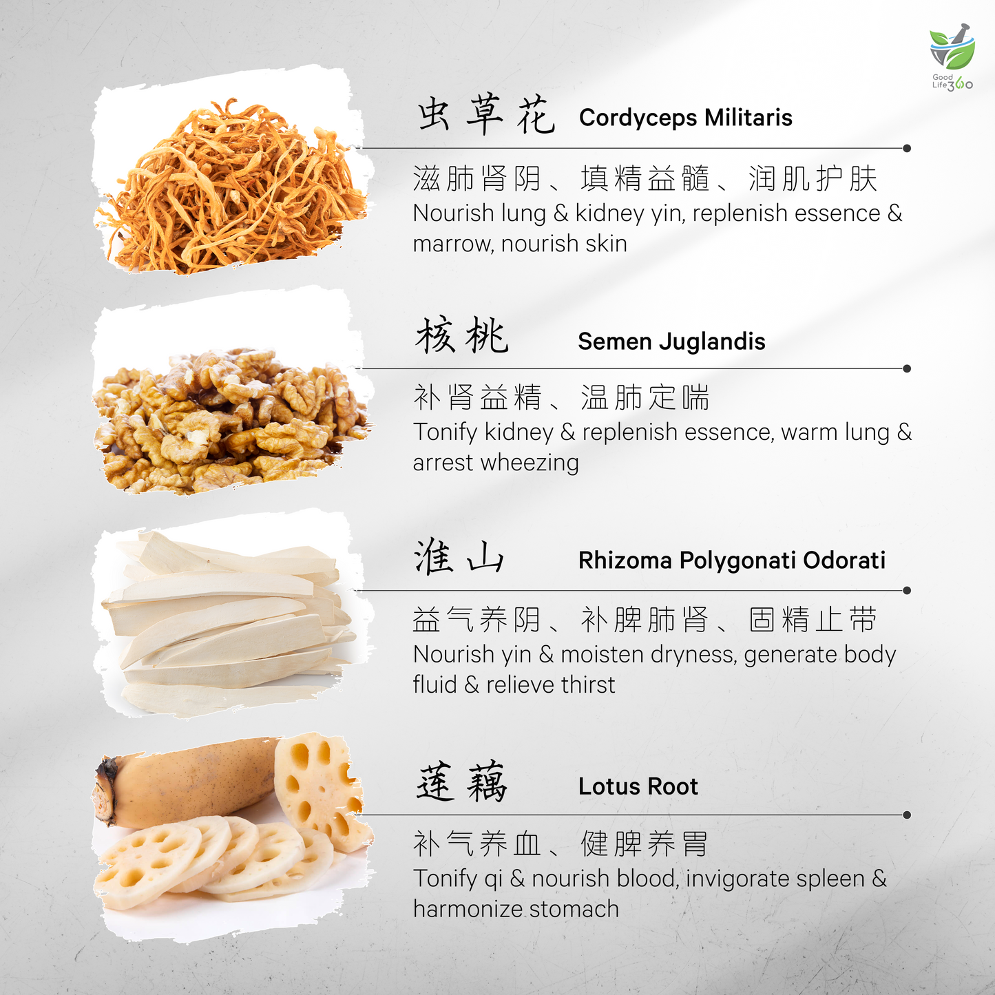 虫草核桃益肾汤 CORDYCEPS & WALNUT KIDNEY REPLENISHING SOUP