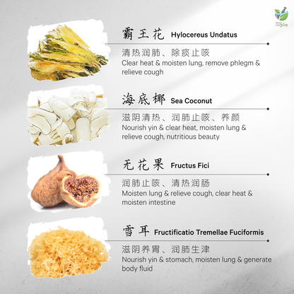 霸王花海底椰润肺汤 HYLOCEREUS UNDATUS & SEA COCONUT LUNG MOISTENING SOUP